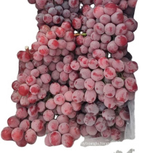 Chinese grape seedless grape red globe grapes